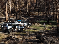 Pic-01 - Fire relief - preparing for cutting up fallen trees